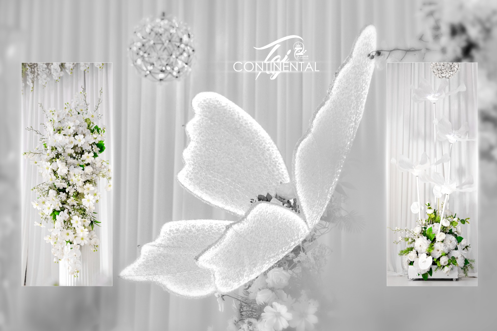 WhatsApp Image 2026-04-09 at 1.36.53 PM (1)